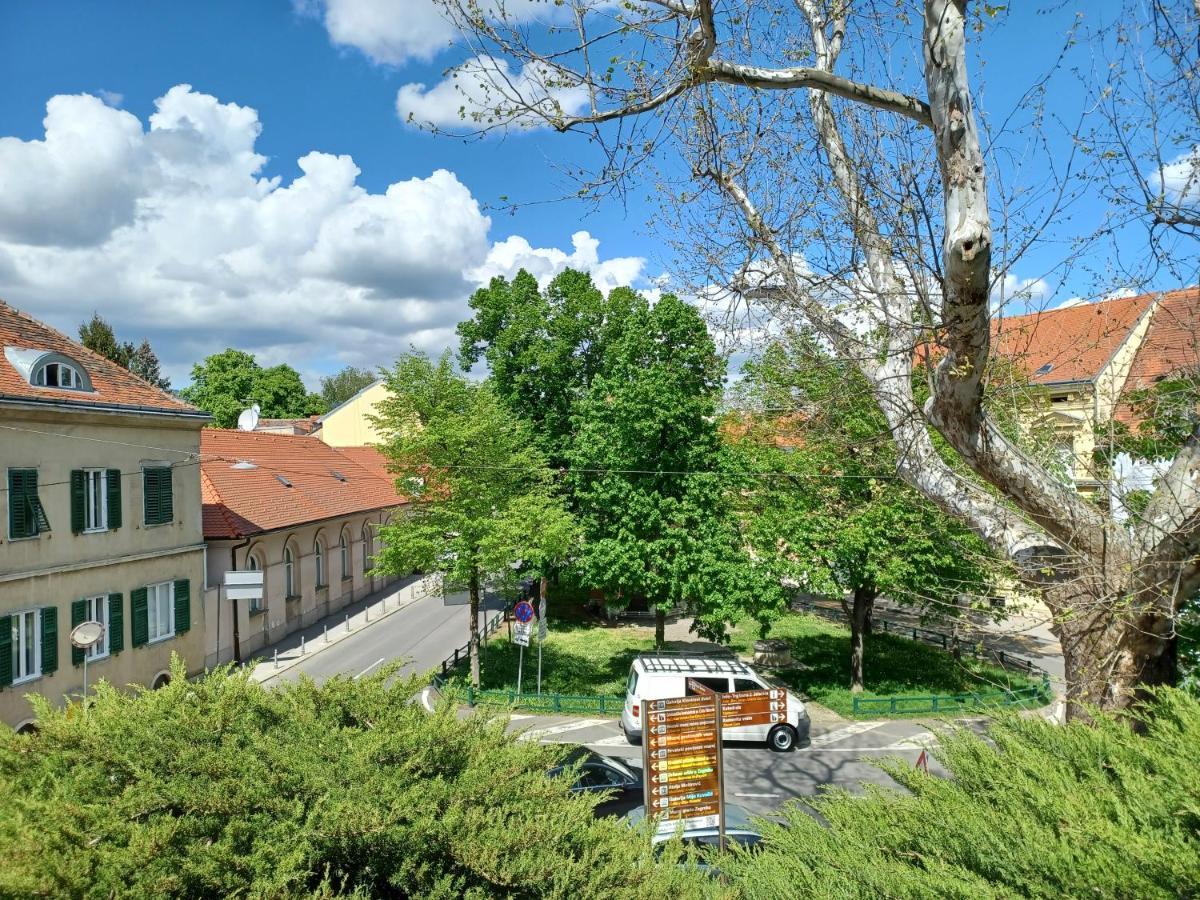 Apartman Antiope *